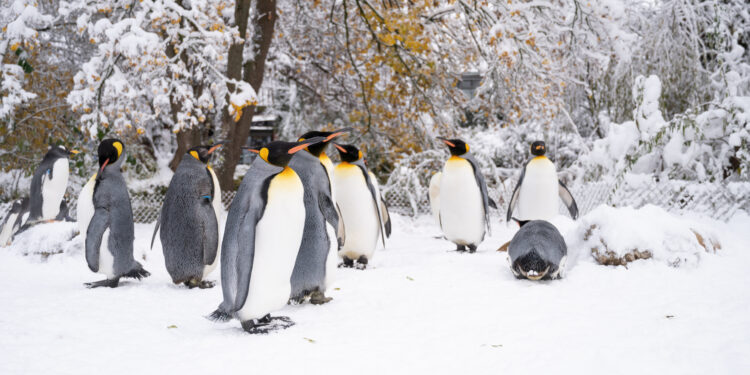 Basel mit Kindern: Top-Familienaktivitäten & kinderfreundliche Hotels